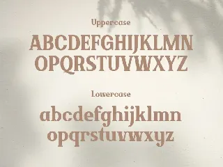 Brickson - Elegant Modern Serif font