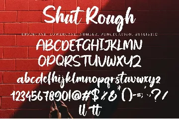 Shut Rough font