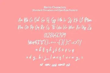 Berno - The Handwritten Brush font