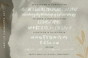 Amelliz - Calligraphy Brush Font