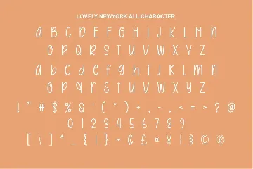 Lovely Newyork Font - Minimalist Sans Font