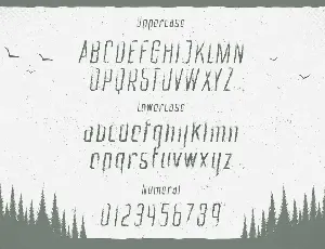 Mystic Forest - Distressed Font