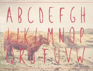 Breezy Handsketched Font