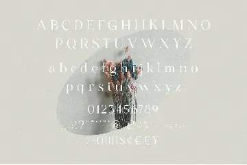 Fligen - Stylish Serif font