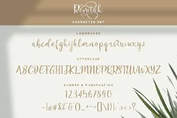 Renitah - Lovely Script Font