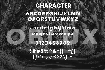 Oblux - Sans Serif Font