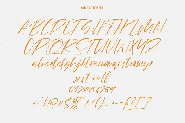 Quiny Alissa Signature Script Font