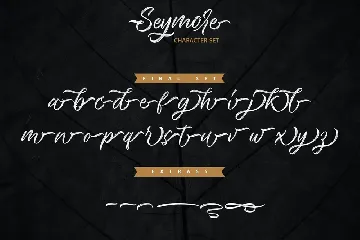 Seymore â€“ Brush Script Font