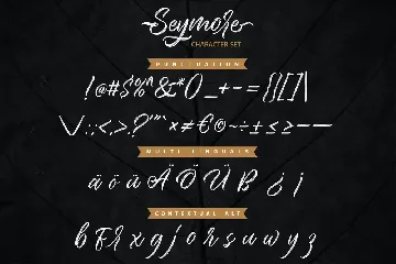 Seymore â€“ Brush Script Font