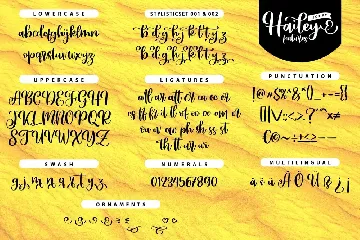 Hailey - Curly Script Font