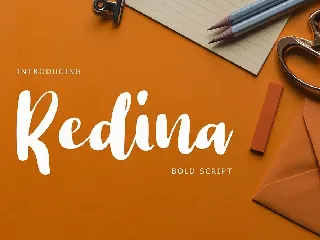 Redina Bold Script Font