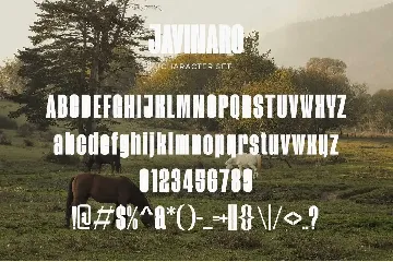 Javinaro - Modern Condensed Sans font