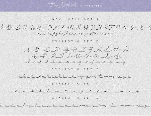 The Notholl Script font