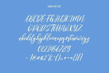 Willoves Script Font