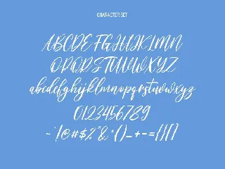 Willoves Script Font