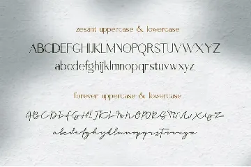 Zesant font