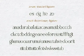 Zesant font