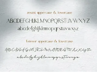 Zesant font