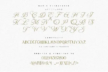 Young Morin Typeface font