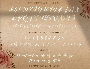 Risatry - Calligraphy Font