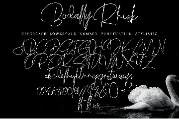 Bodally Rhisk font