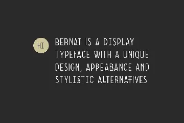 BERNAT - Unique Display Font