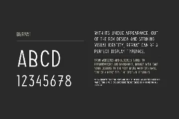 BERNAT - Unique Display Font