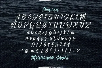 Ronttsein - Brush Script Font