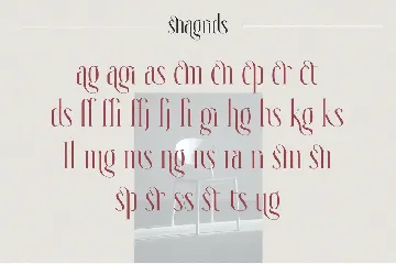 Snagrids - Classy Ligature Serif font