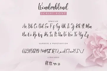 Wonderblend font