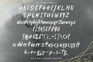 Ayus - Handbrush Script Font