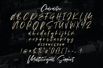 Vezthisory - Handwritten Font