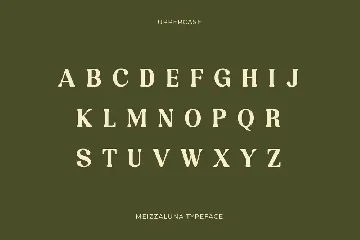 Meizzaluna - Classic Serif Display Font