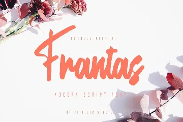 Frantas - Modern Script Font