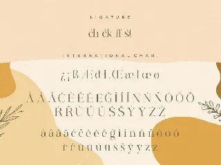 Rostemary Elegant Business Font