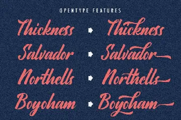 Ratyadu - Vintage & Retro Bold Script Font