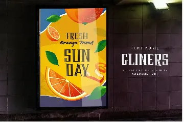 Gliner Bold Retro Vintage Font TNI