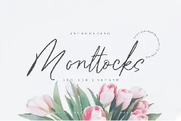 Monttocks Script Font