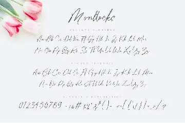 Monttocks Script Font