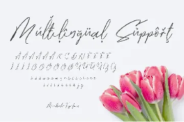 Monttocks Script Font