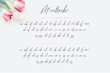 Monttocks Script Font