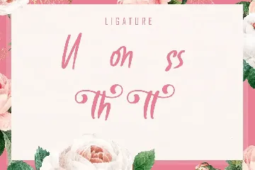 Haisthy Beauty Script Font