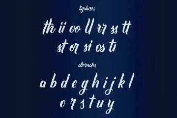 Corin Stacy Script Font