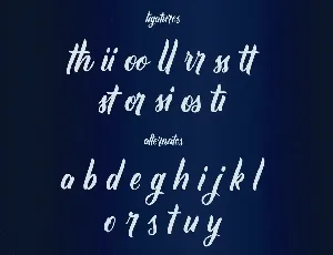 Corin Stacy Script Font