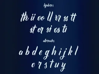 Corin Stacy Script Font