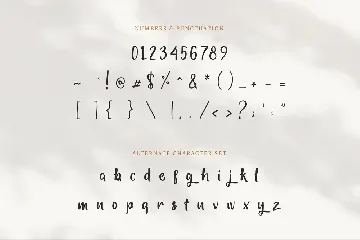 Brettysha font