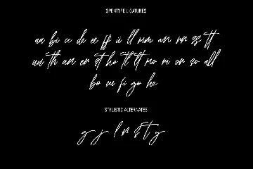 Nubriska Signature Script Font