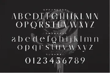 Serling Elegant Sans Serif Typeface font