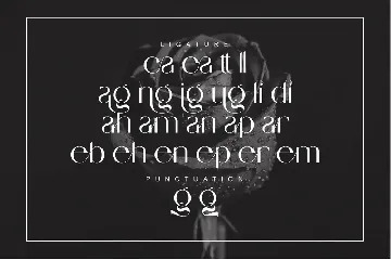 Serling Elegant Sans Serif Typeface font