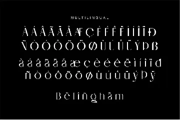 Serling Elegant Sans Serif Typeface font